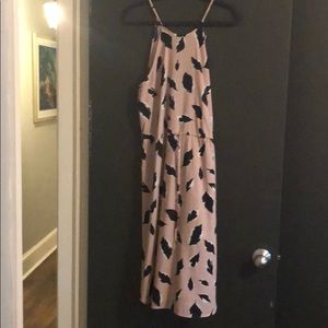Ann Taylor LOFT dress